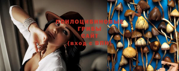 спиды Володарск