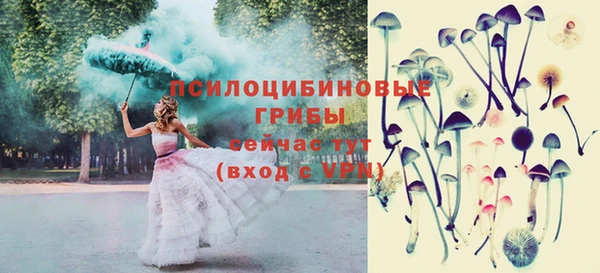 спиды Володарск